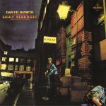  The Rise and Fall of Ziggy Stardust David Bowie Format : Album vinyle
