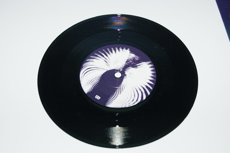 DOSSIER] Les différents diamètres et vitesses des disques vinyles - Mes disques  vinyles